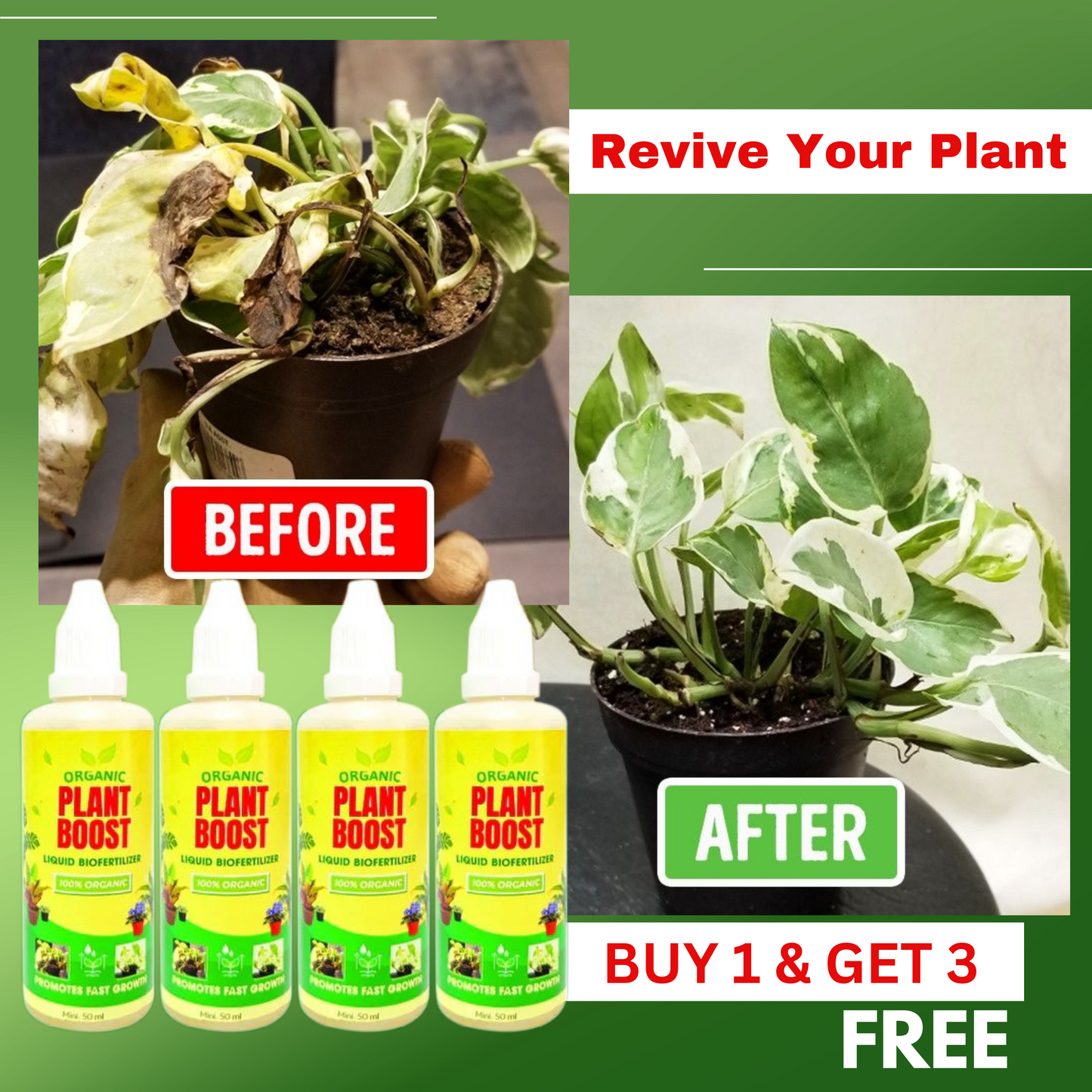 Organic Plant Boost Liquid Bio fertilizer | š„Buy 1 get 3 freeš„